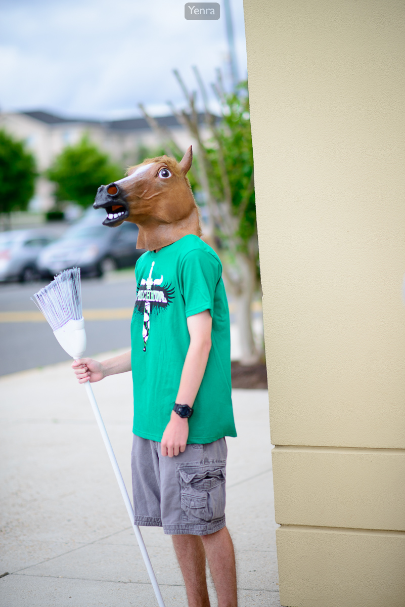 Horse head with broom