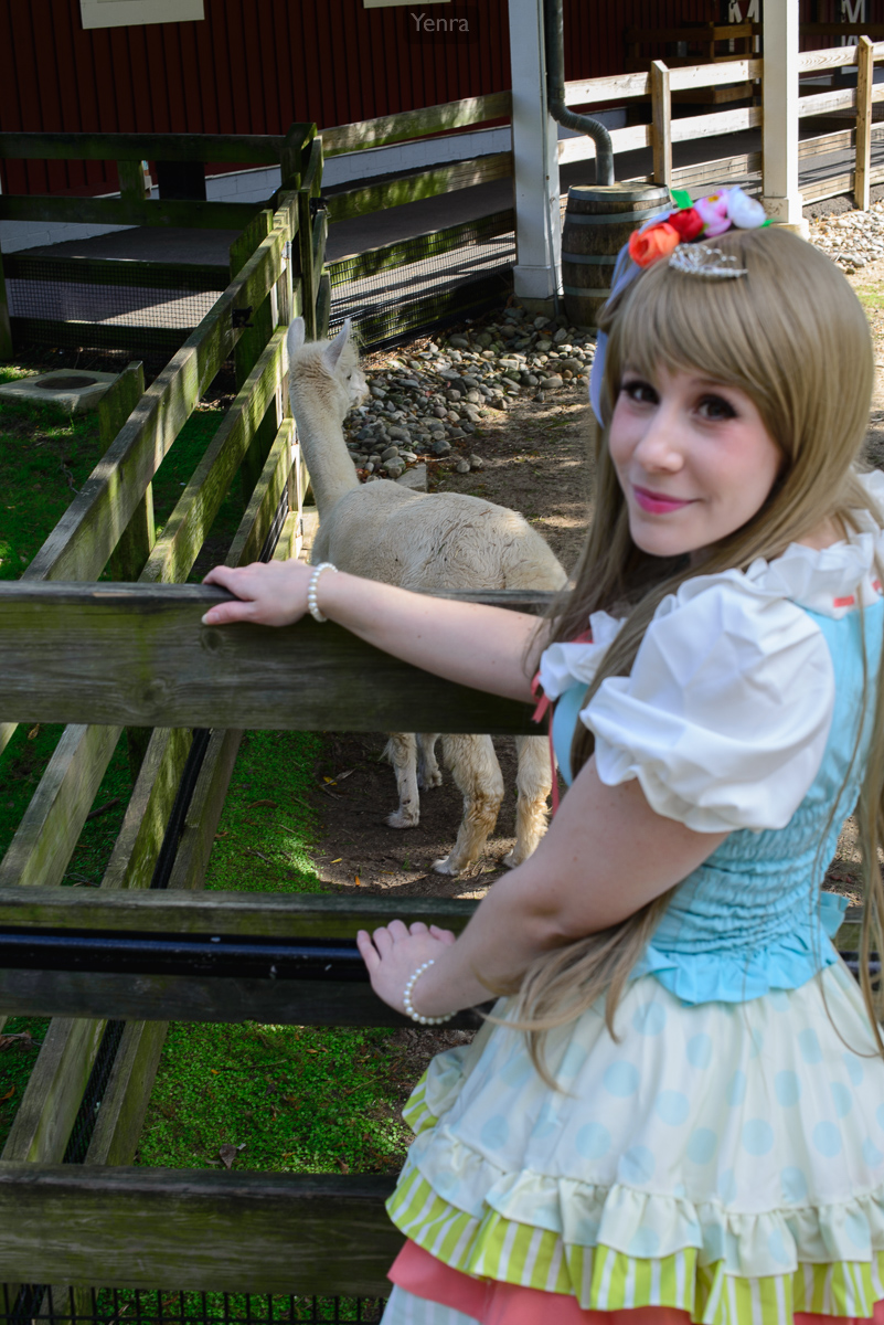 Fairy Tale Kotori with Alpaca