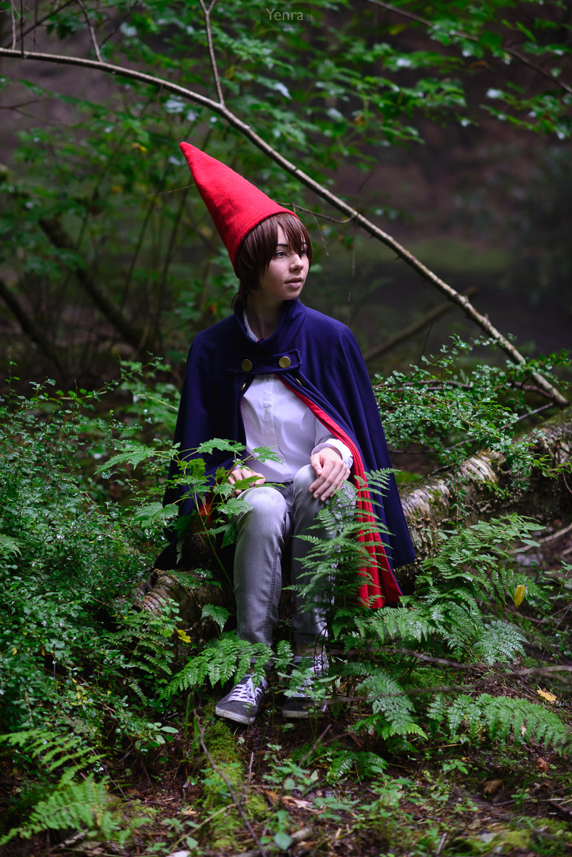 Wirt, Over the Garden Wall