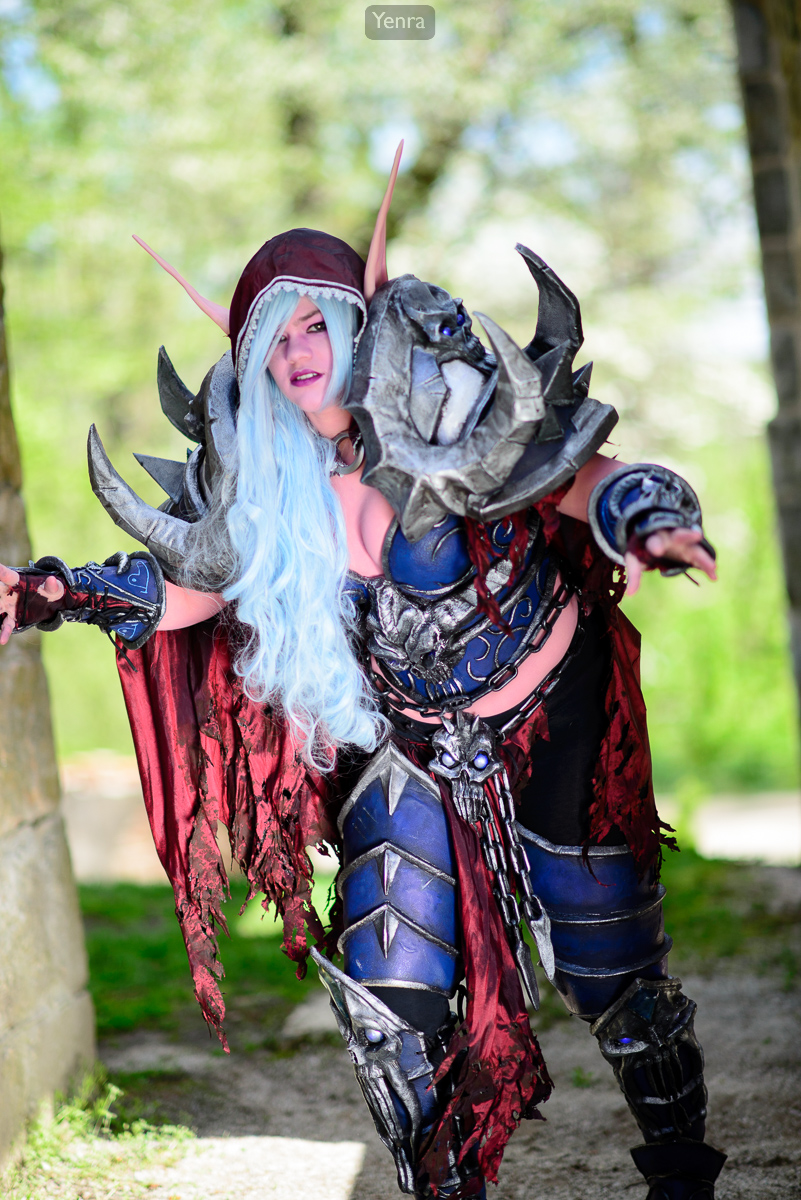 World of Warcraft Tier 8 Blood Elf Death Knight