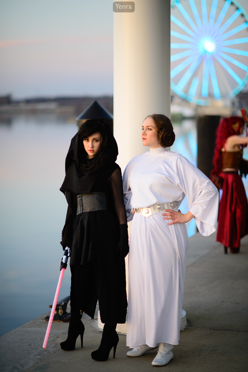 Kylo Ren and Princess Leia from Star Wars