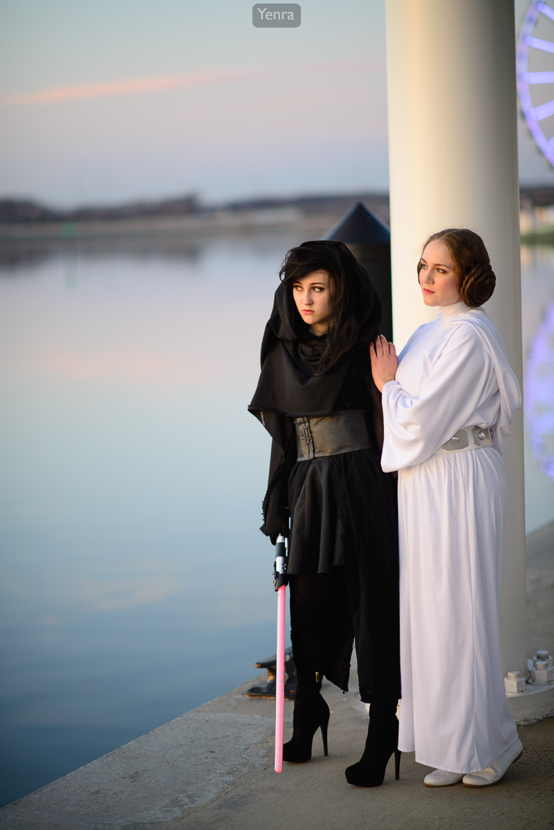 Princess Leia and Kylo Ren, Star Wars