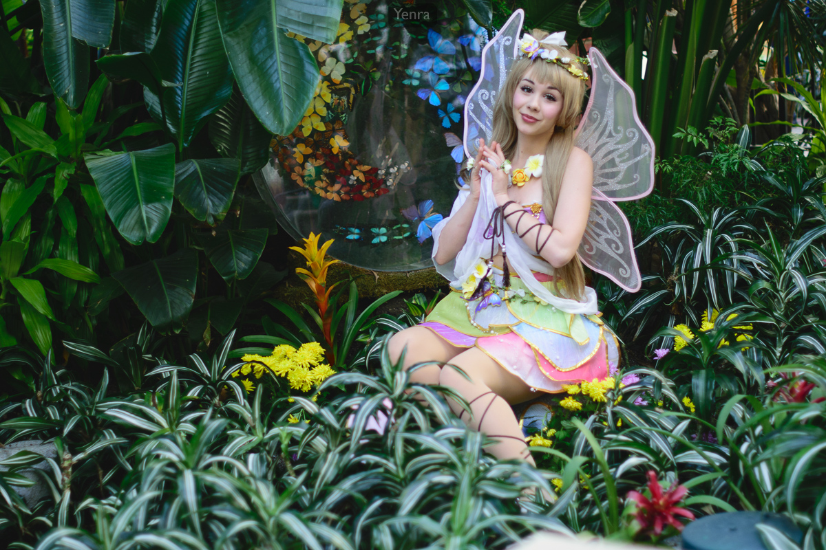 Kotori in the Butterfly Garden, Love Live School Idol Festival Land of the Fairies Idolized SR Pure