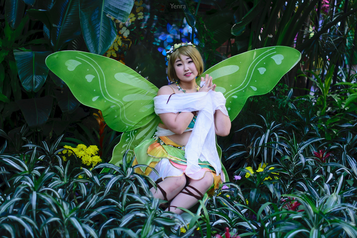Hanayo in the Butterfly Garden, Love Live School Idol Festival Land of the Fairies Idolized SR Pure