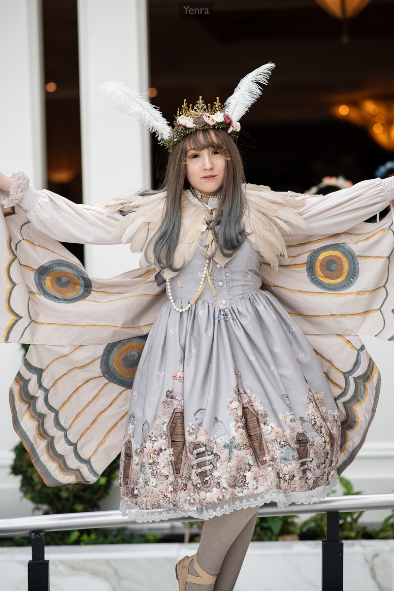 Moth Fairy Lolita Fashion Coordinate