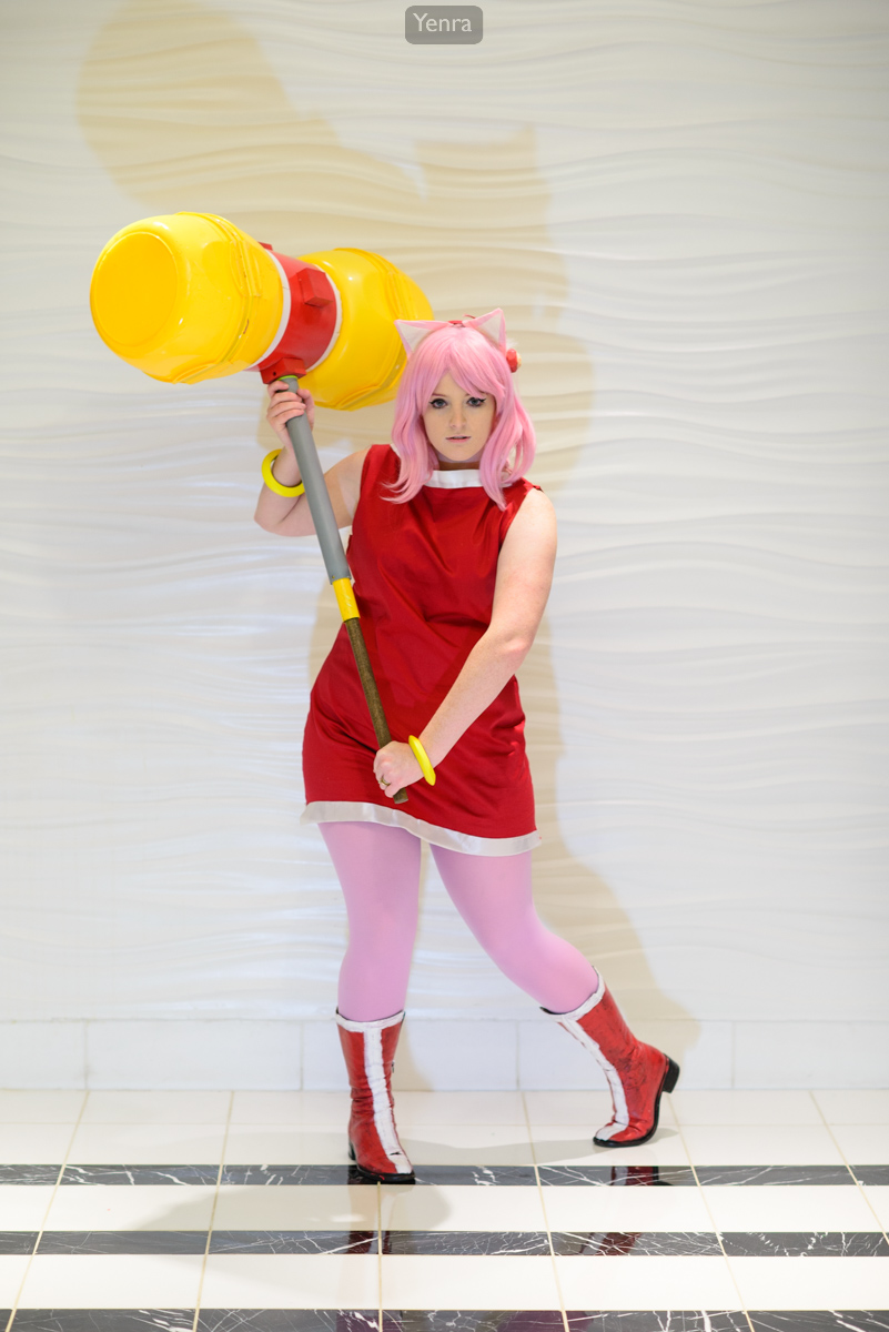 Amy Rose from Sonic the Hedgehog