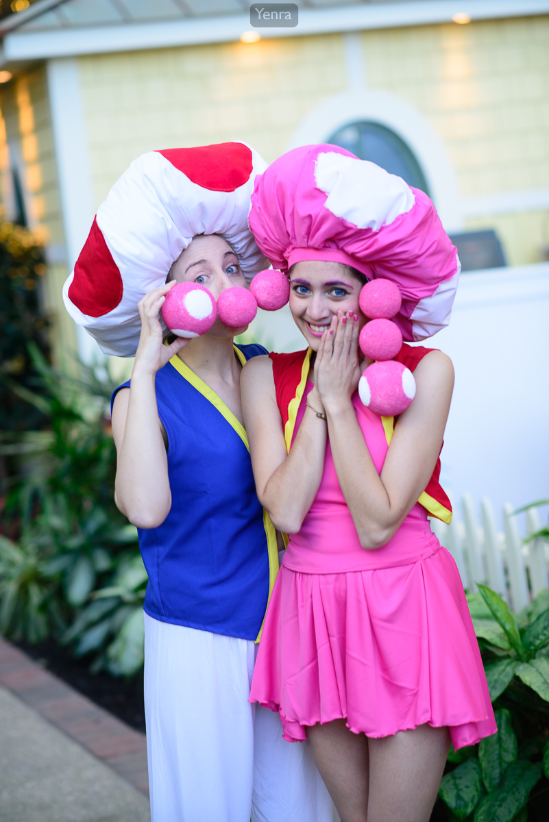 Toad and Toadette, Super Mario Brothers