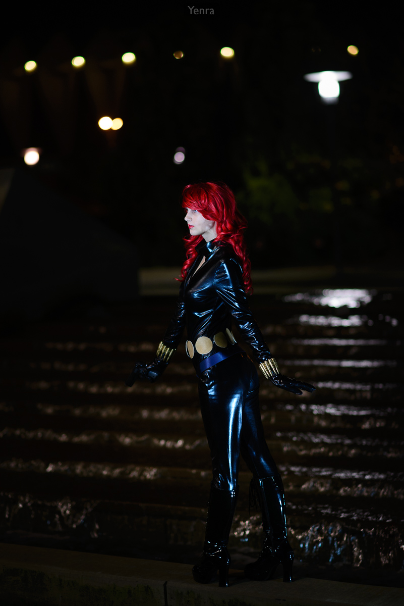 Black Widow from Marvel's the Avengers