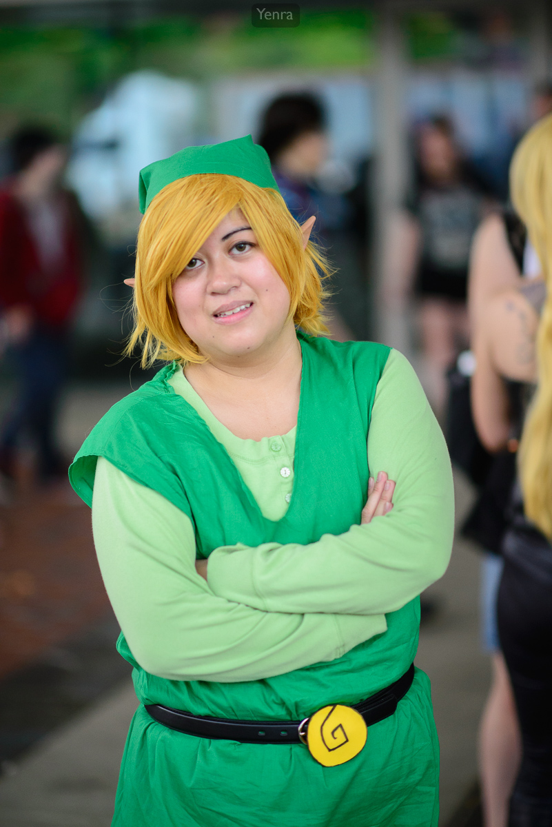 Link from Wind Waker