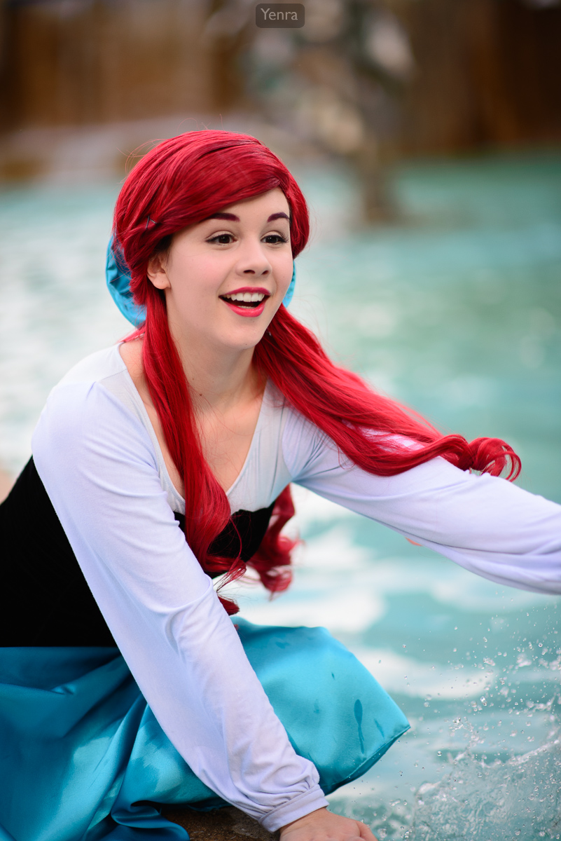 Ariel from the Little Mermaid
