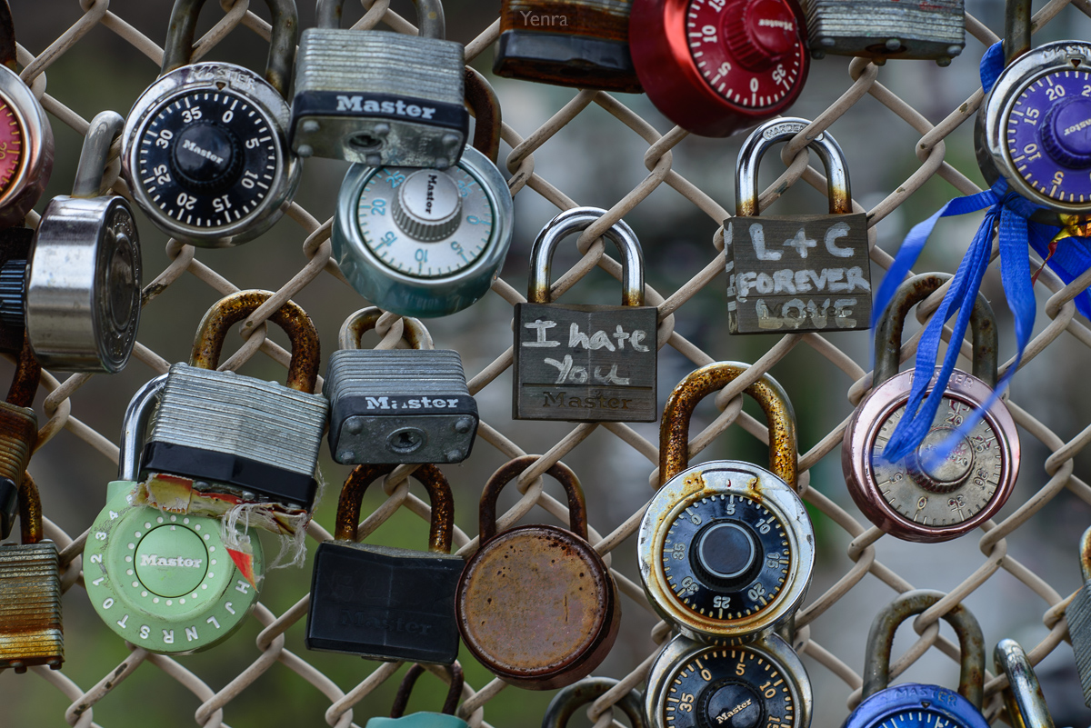 Locks of Love on Schenley Park Bridge