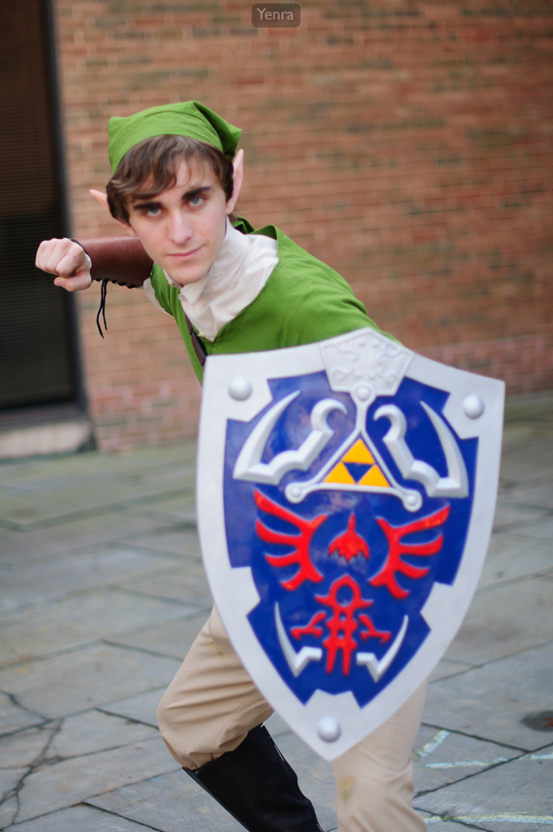 Link, Legend of Zelda
