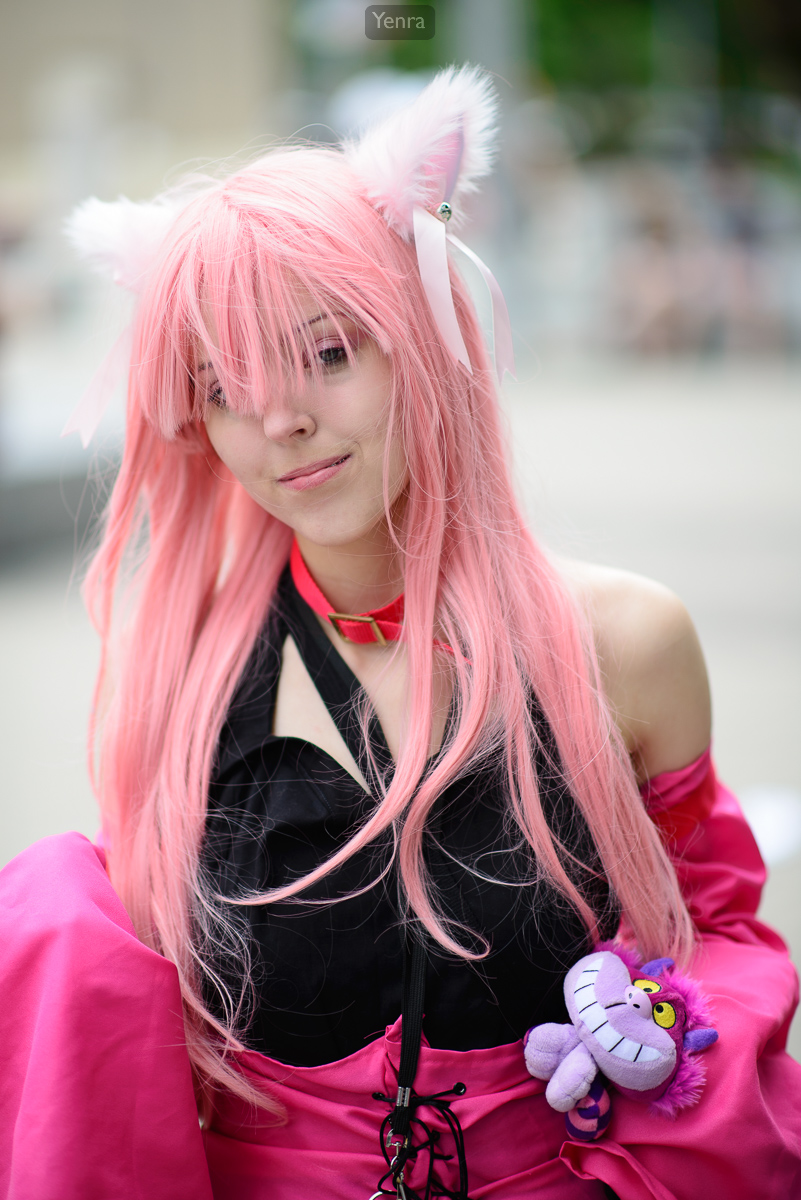 animazement2013-6673.jpg