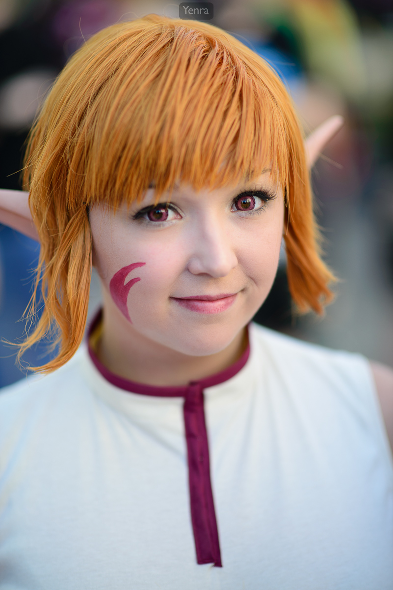 animazement2013-8988.jpg