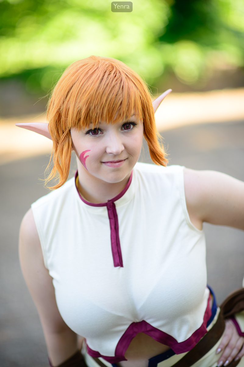 animazement2013-9025.jpg