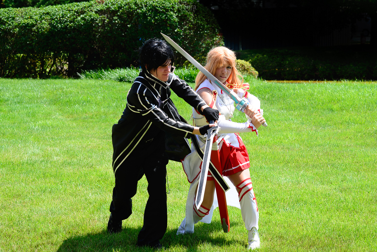 Kirito and Asuna, Sword Art Online