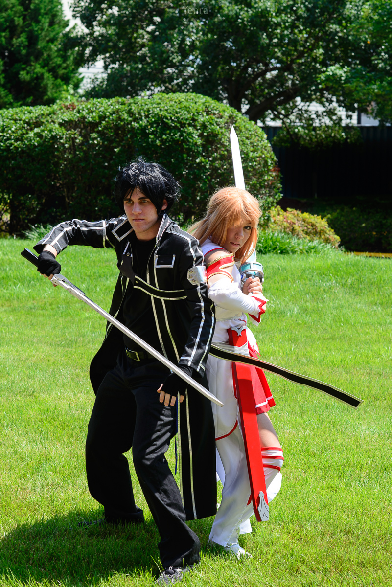 Kirito and Asuna, Sword Art Online