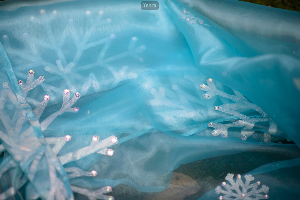 Elsa from Frozen Details