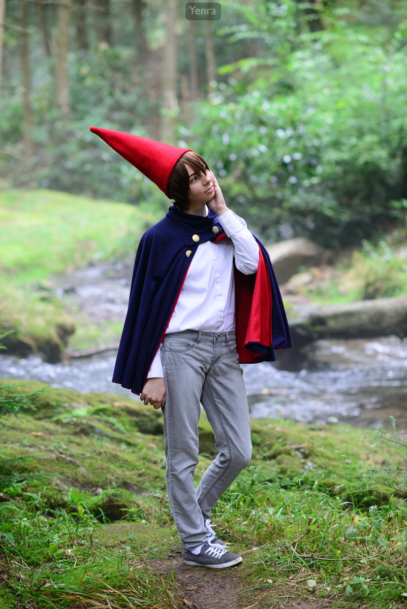Wirt, Over the Garden Wall