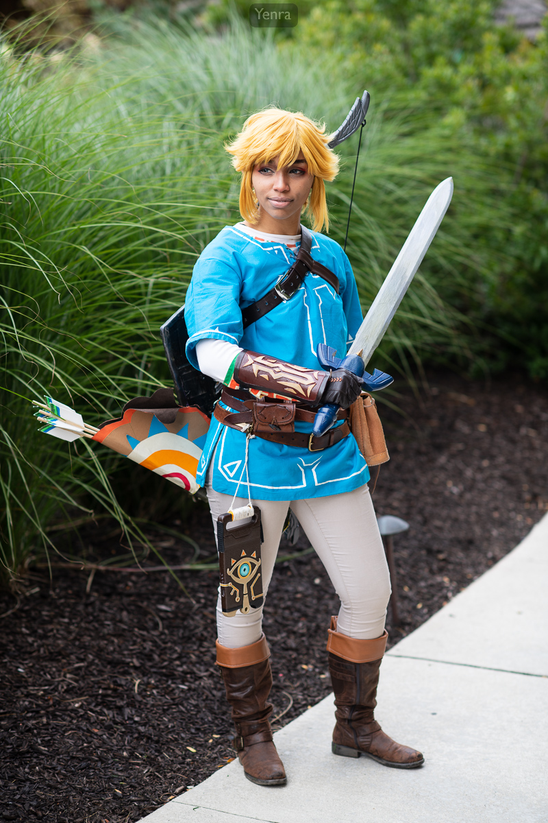 Link, Breath of the Wild, Legend of Zelda