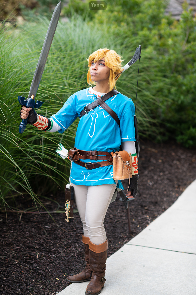 Link, Breath of the Wild, Legend of Zelda