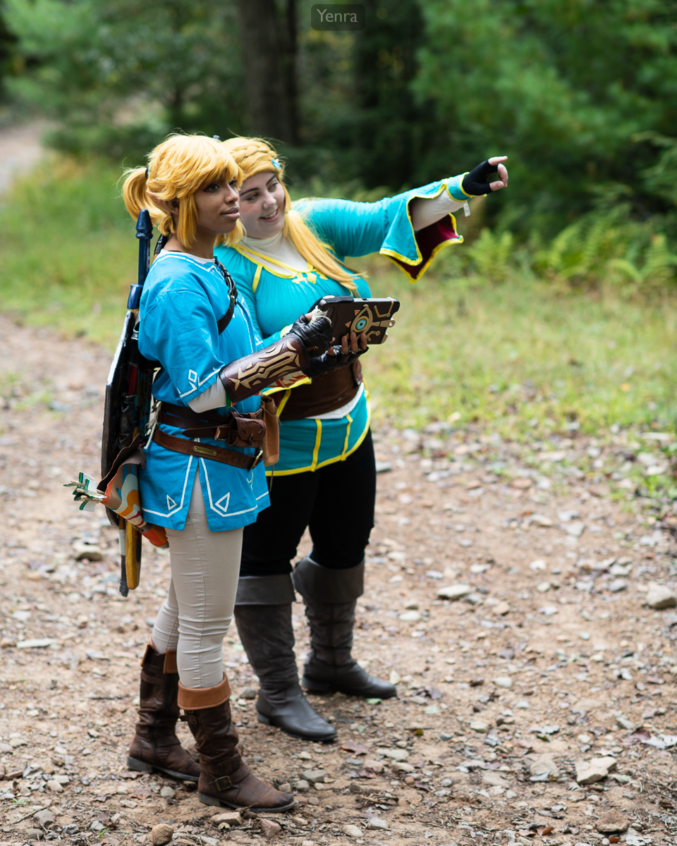 Princess Zelda and Link, Breath of the Wild, Legend of Zelda
