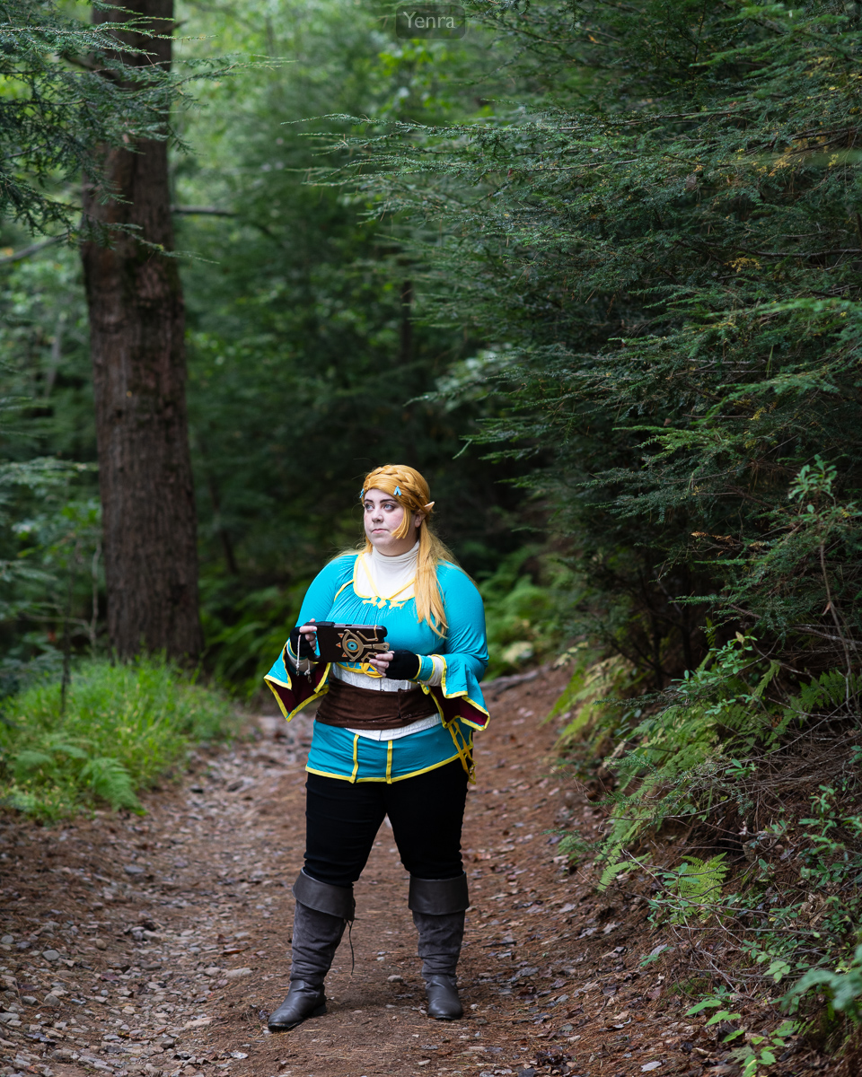 Princess Zelda, Legend of Zelda, Breath of the Wild