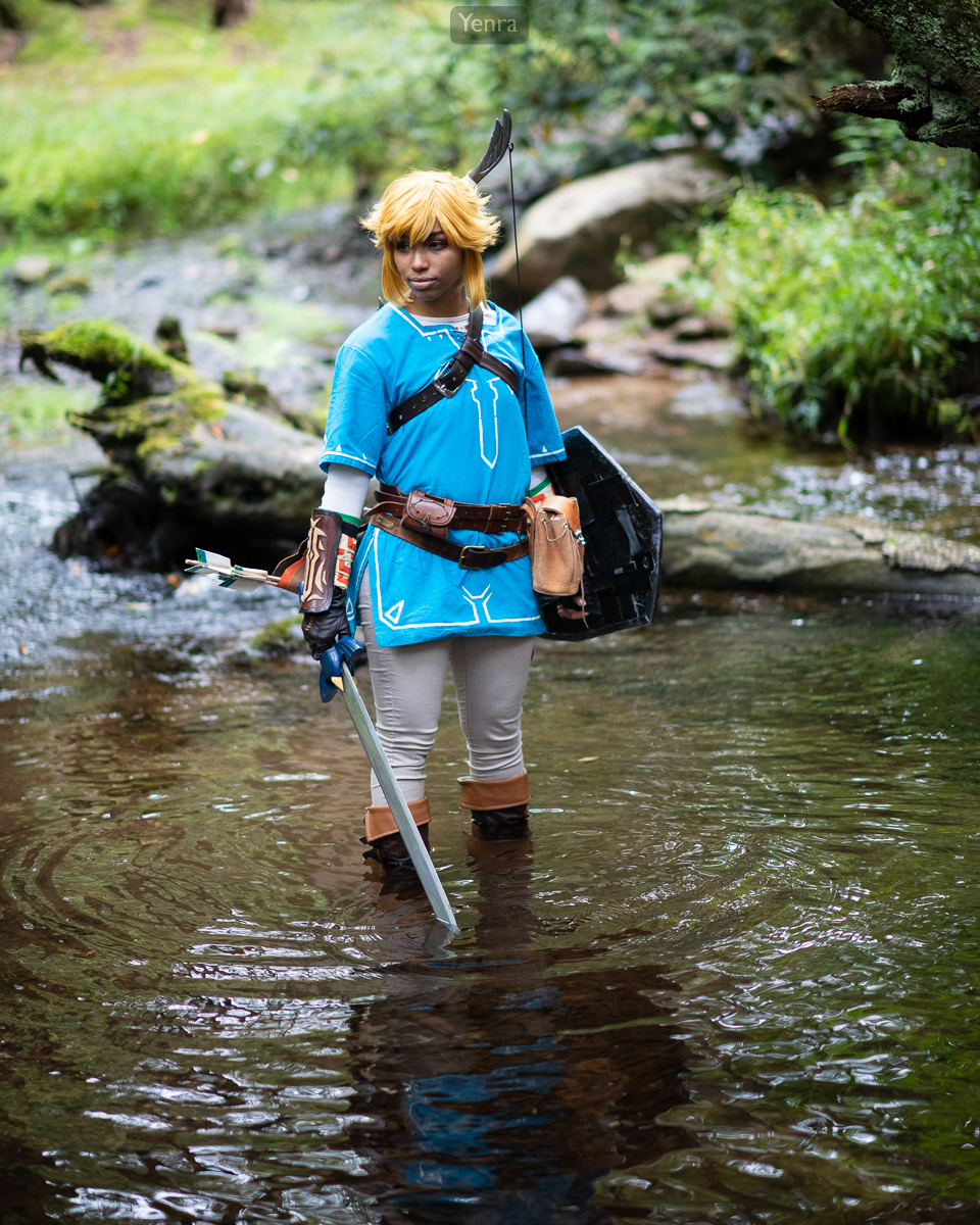 Link, Legend of Zelda, Breath of the Wild