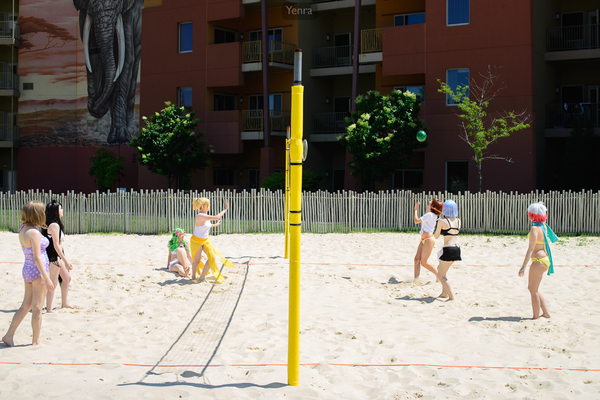 Cosplay Beach Volleyball