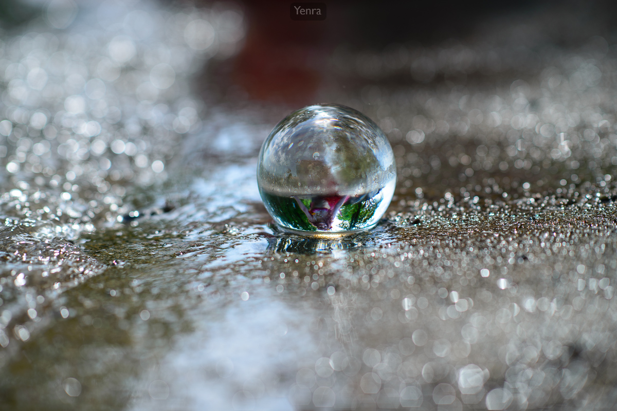 Lensball by Water