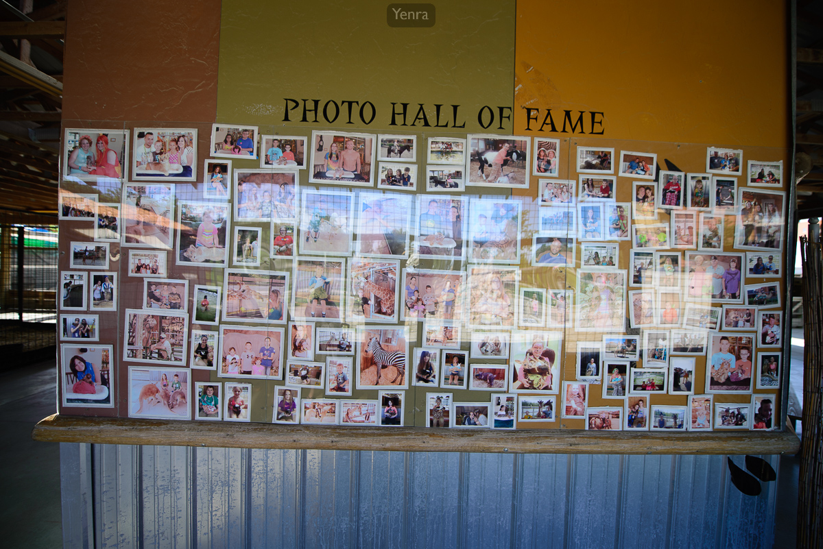 Kalahari Zoo Photo Hall of Fame
