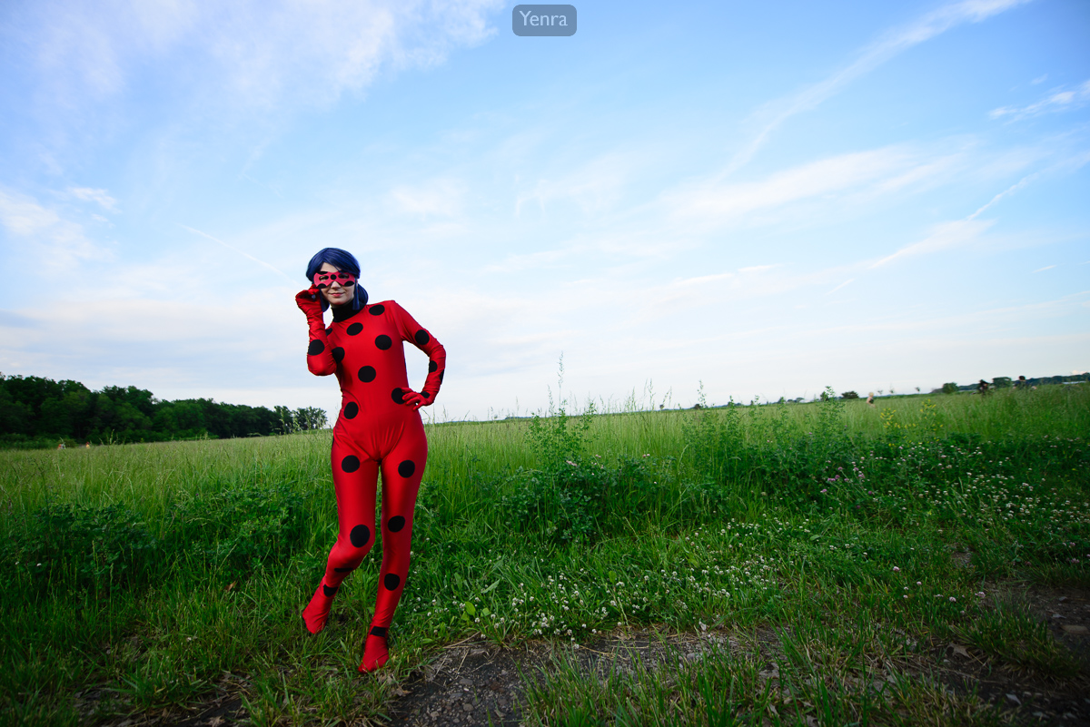 Ladybug, Miraculous Ladybug