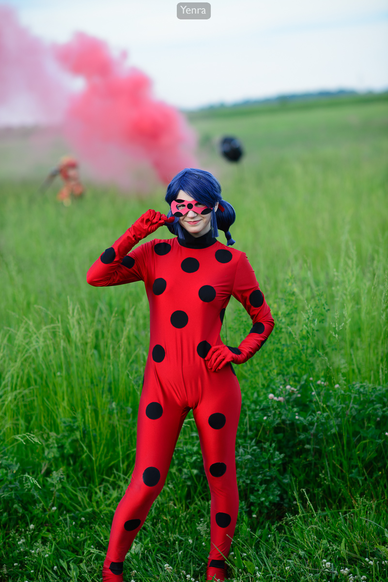 Ladybug, Miraculous Ladybug