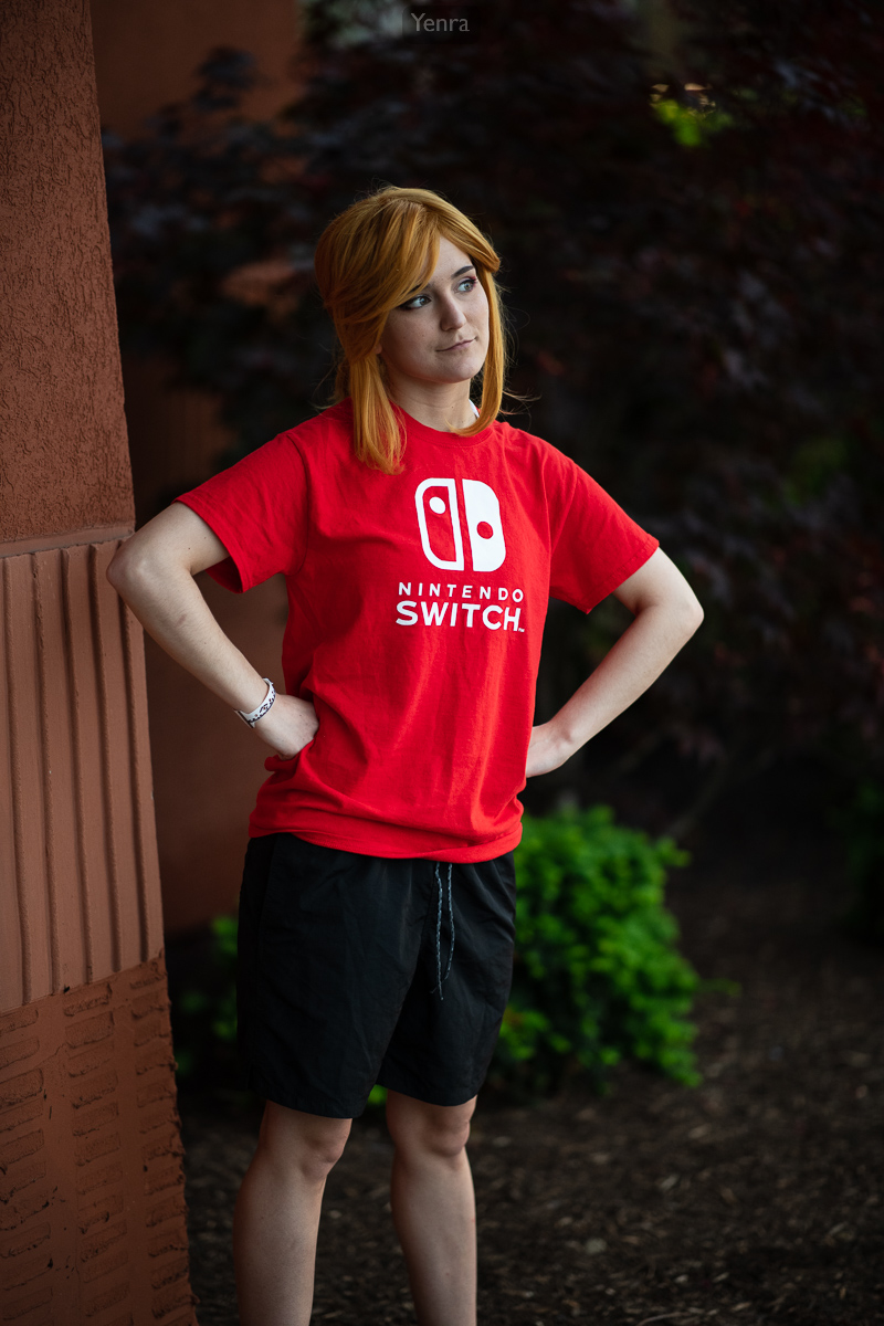 Link, Nintendo Switch Shirt, Breath of the Wild