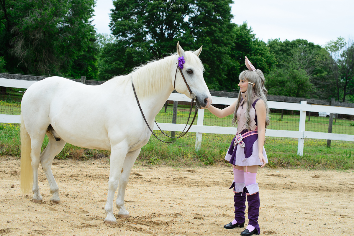 Sumia and her Pegasus, Fire Emblem