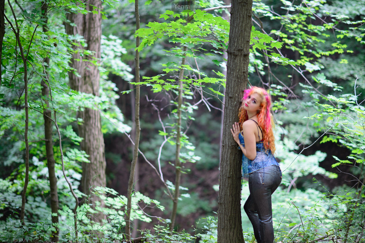 Pretty in the woods