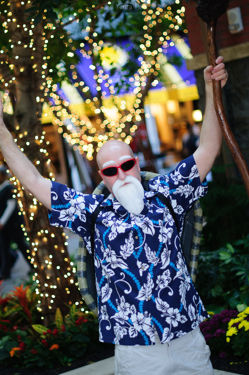 Master Roshi from Dragon Ball Z