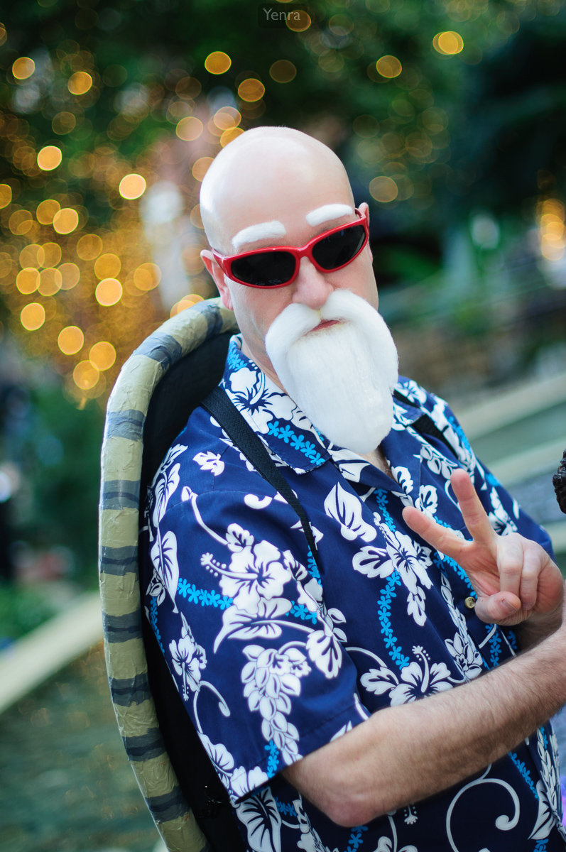 Master Roshi from Dragon Ball Z