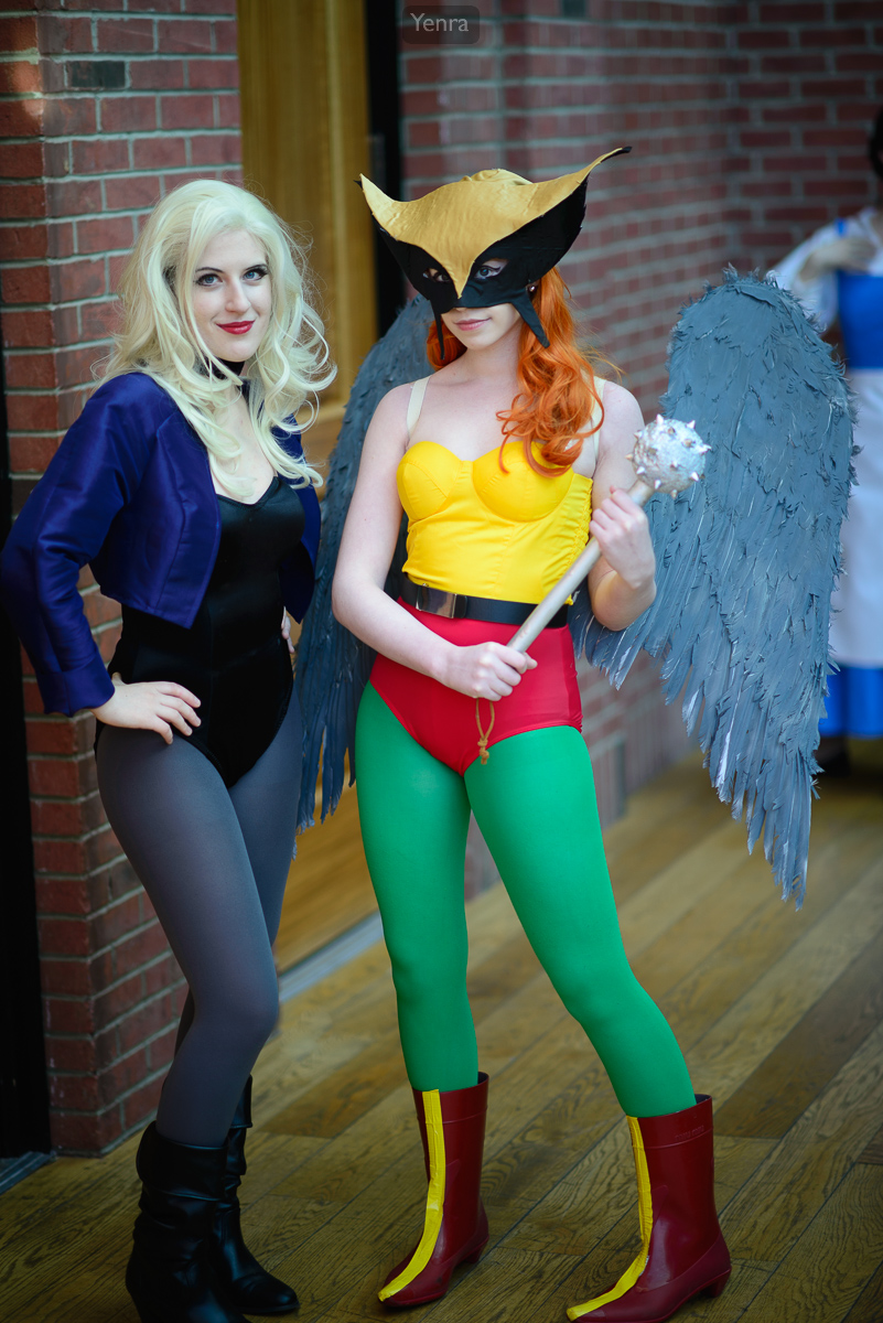 Black Canary and Hawk Girl from the Justice League cartoon