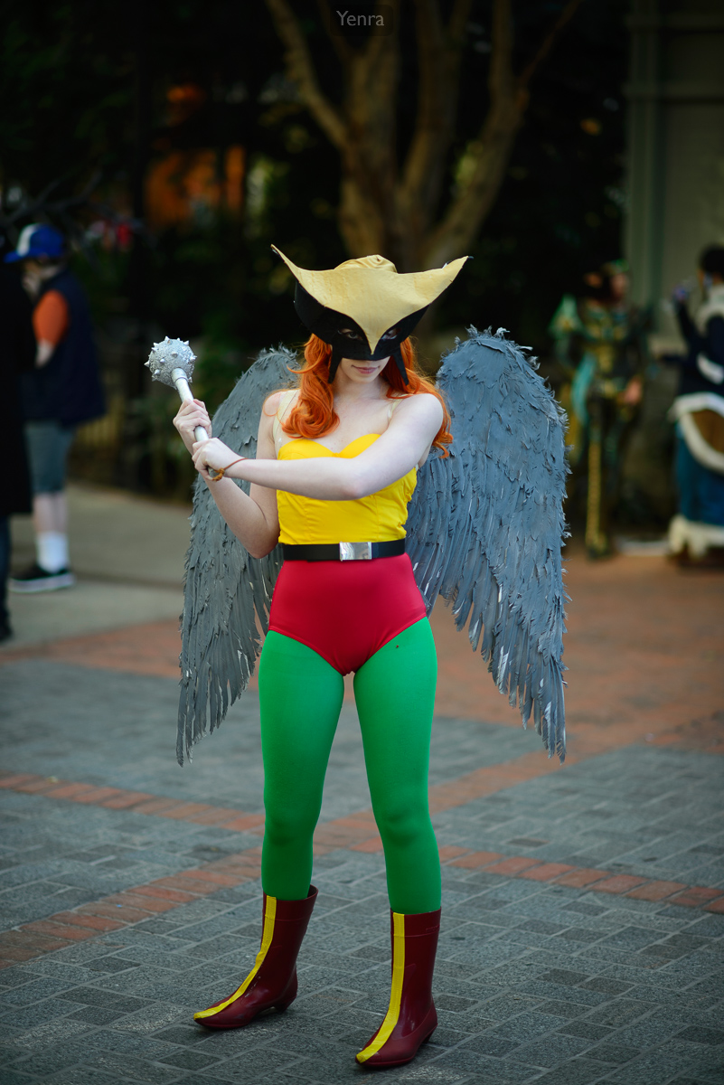 Hawk Girl from the Justice League cartoon