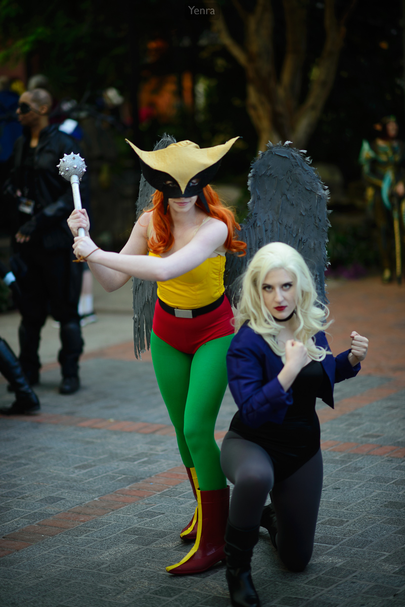 Hawk Girl and Black Canary from the Justice League cartoon