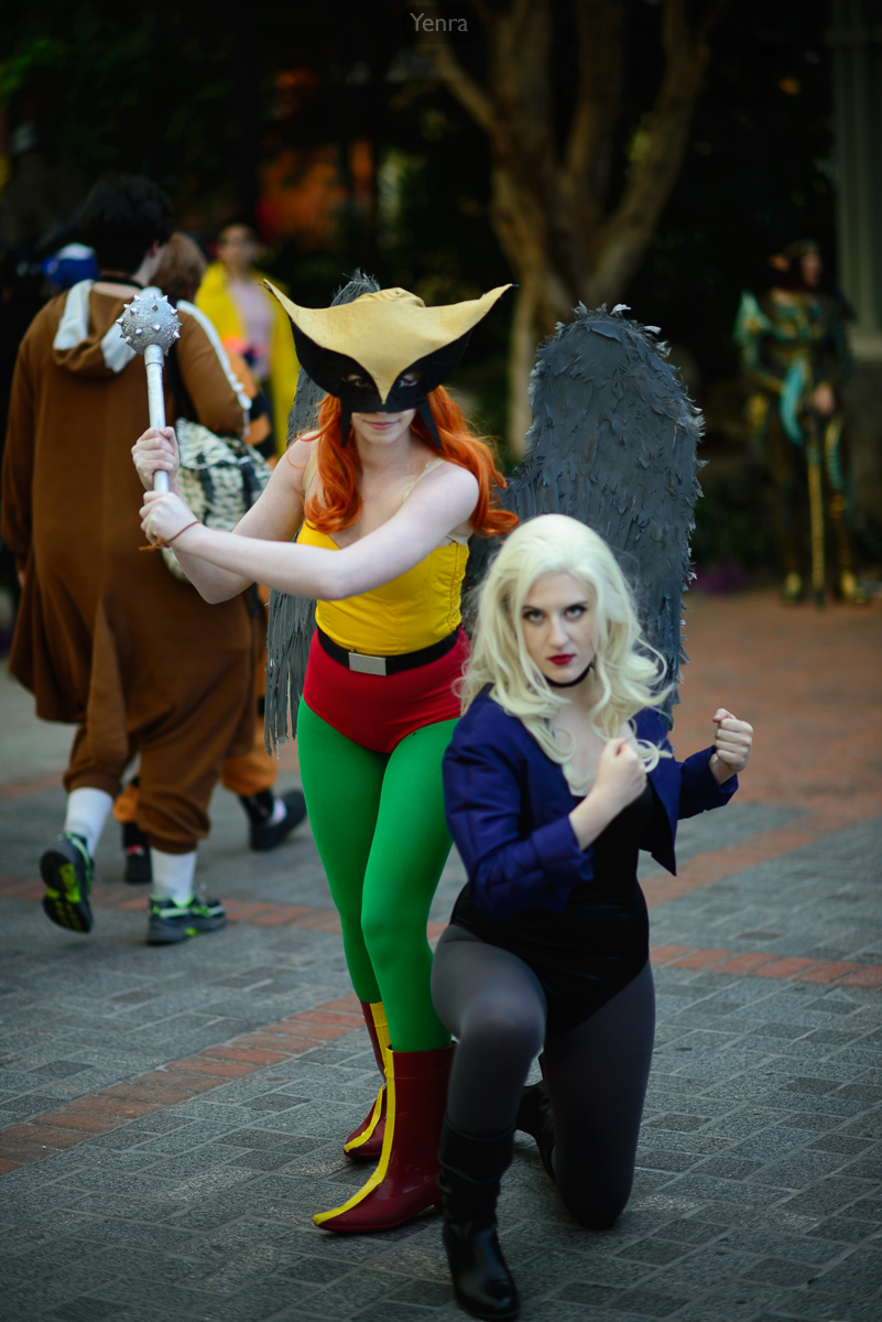 Hawk Girl and Black Canary from the Justice League cartoon