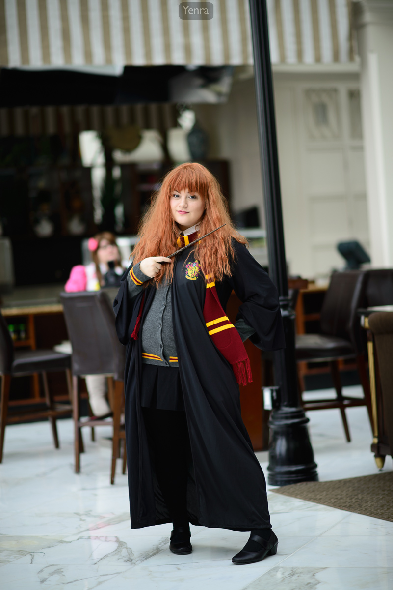 Hermione Granger, Harry Potter