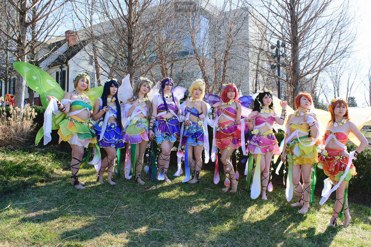 Love Live School Idol Festival Land of the Fairies Idolized SR Pure