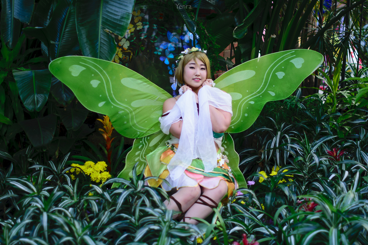 Hanayo in the Butterfly Garden, Love Live School Idol Festival Land of the Fairies Idolized SR Pure