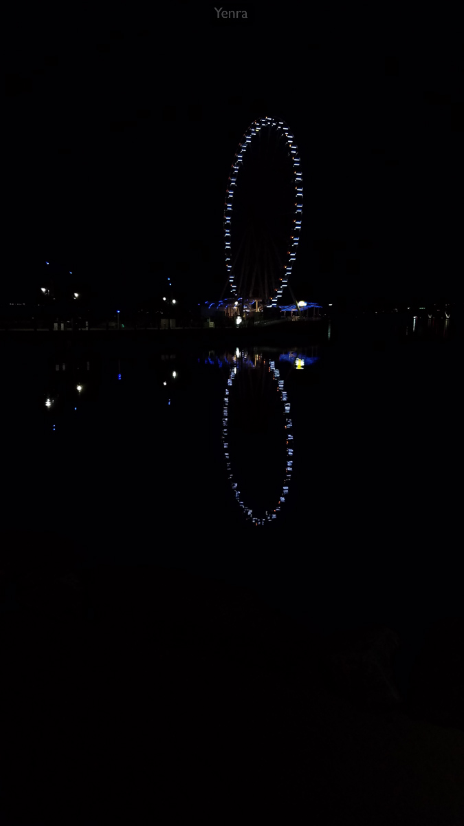 National Harbor Ferris Wheel Reflection