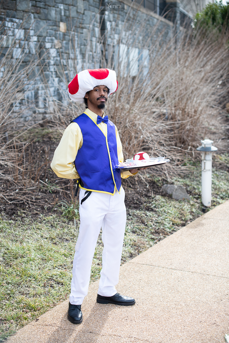 Mushroom, Mario Bros