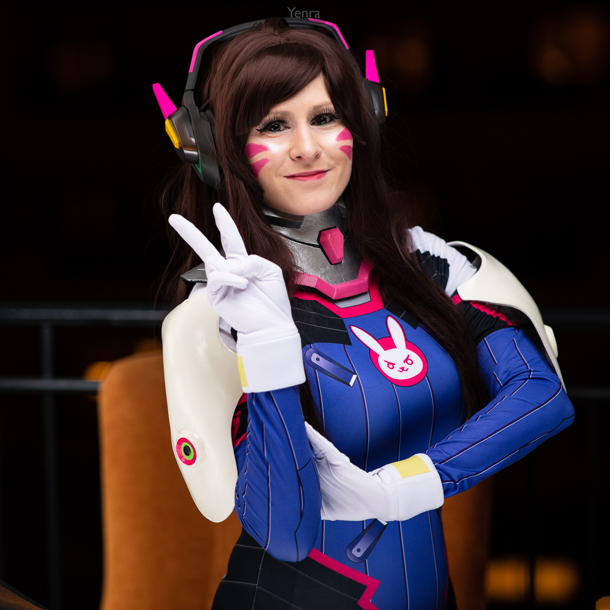 DVa, Overwatch