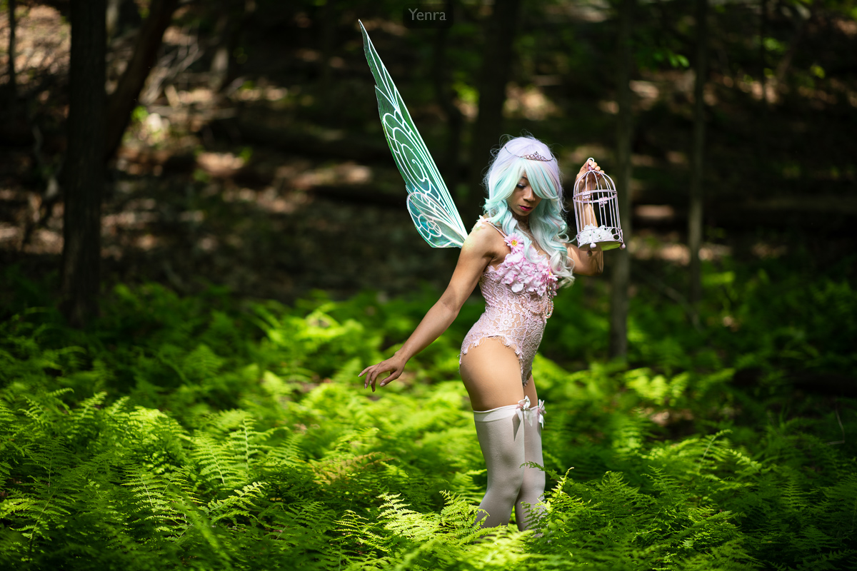 Fairy in the Forest