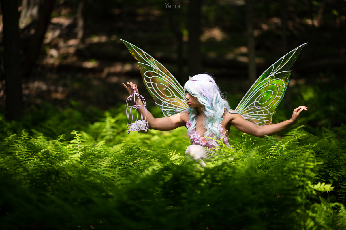 Fairy in the Forest